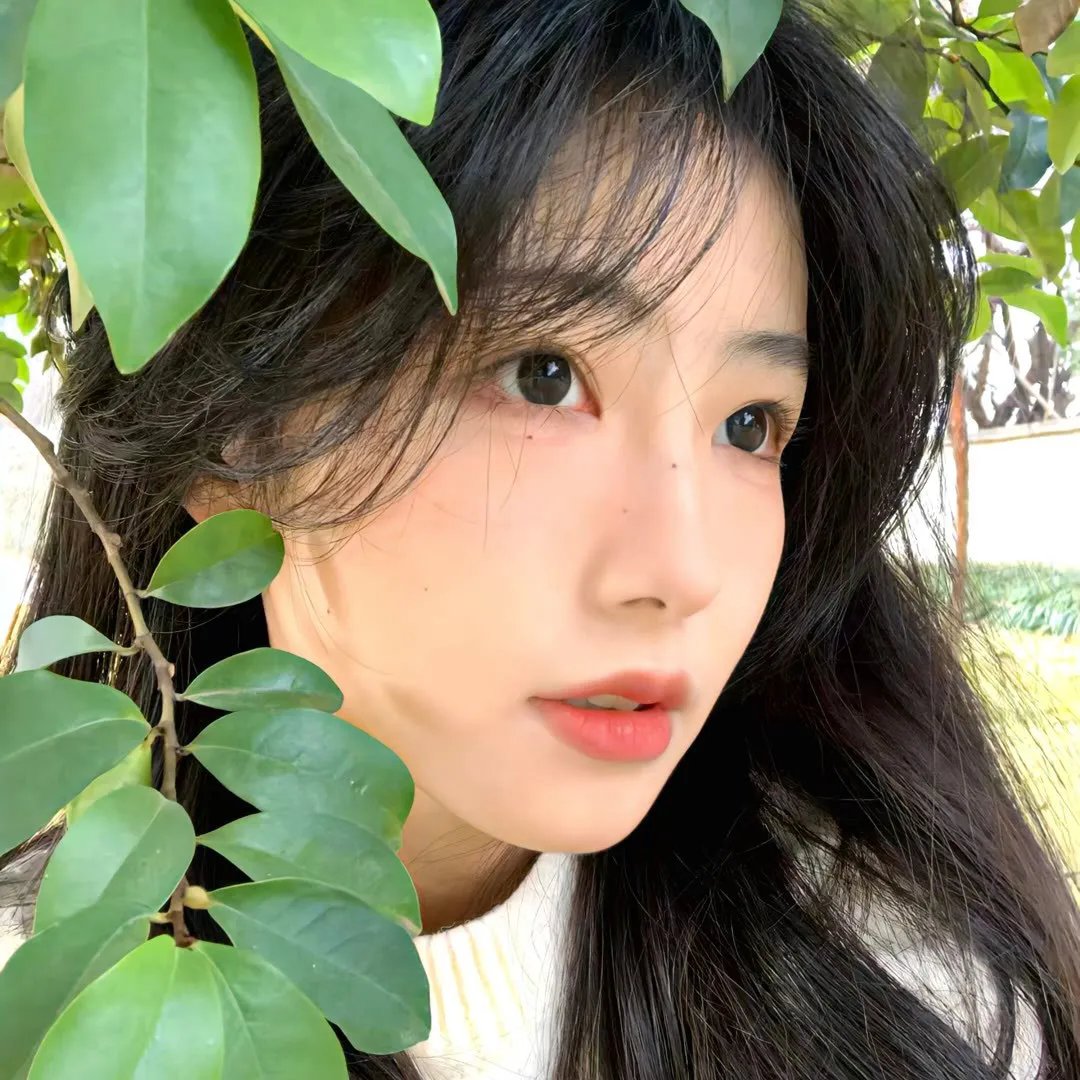 小王子路易