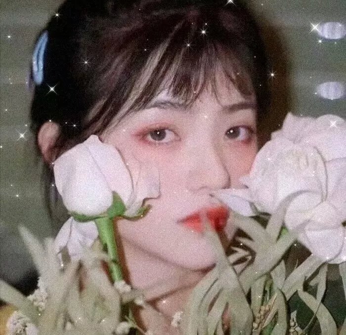 拍三小电影